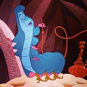 Meet your Posher, Rah